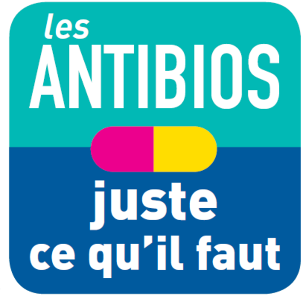 Vignette de l'article